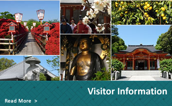 Visitors Information