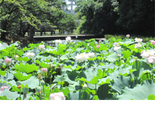 �������r