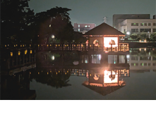 �������r