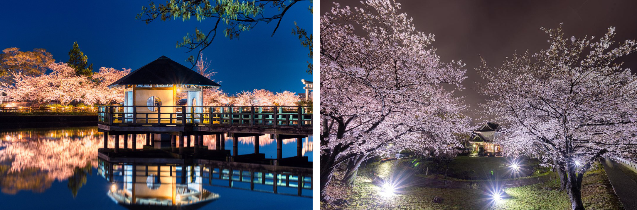 ���̃��C�g�A�b�v