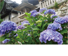 JωkJ