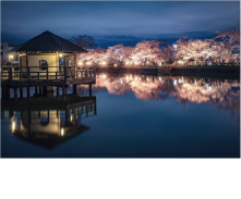 �_���ӂꂠ������